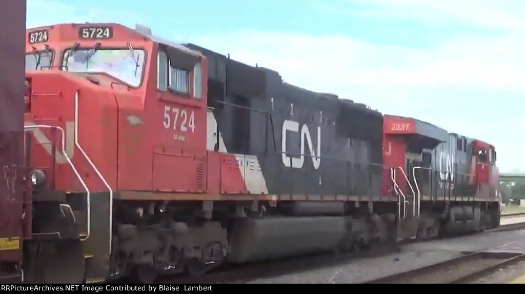 CN A431